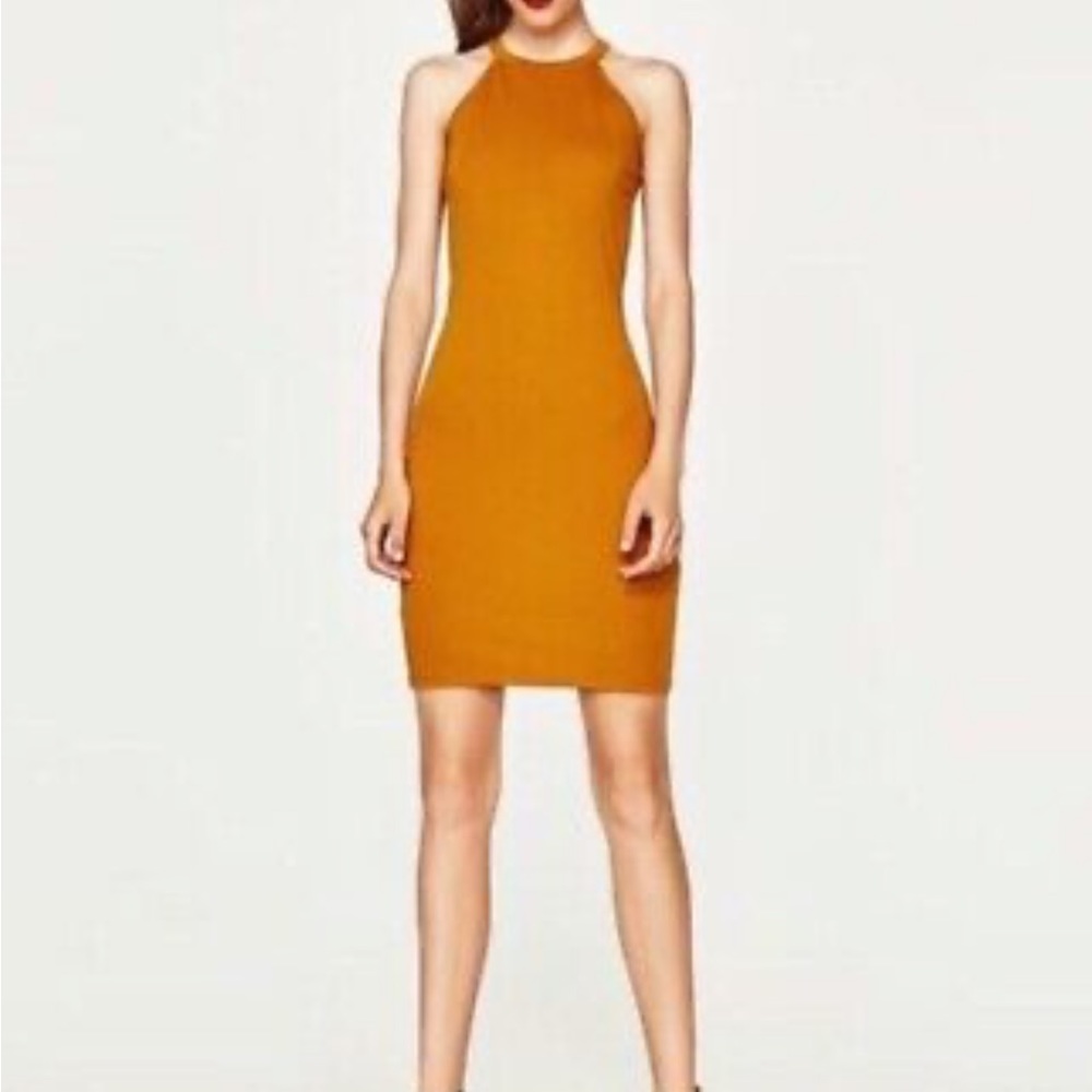 Mustard Zara dress bodycon